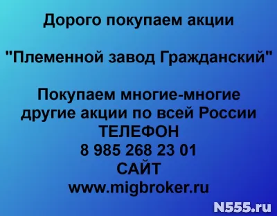 Покупаем акции «Племенной завод Гражданский»