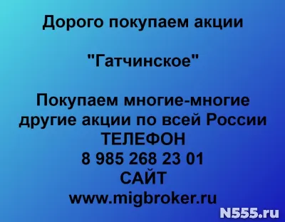 Покупаем акции «Гатчинское»